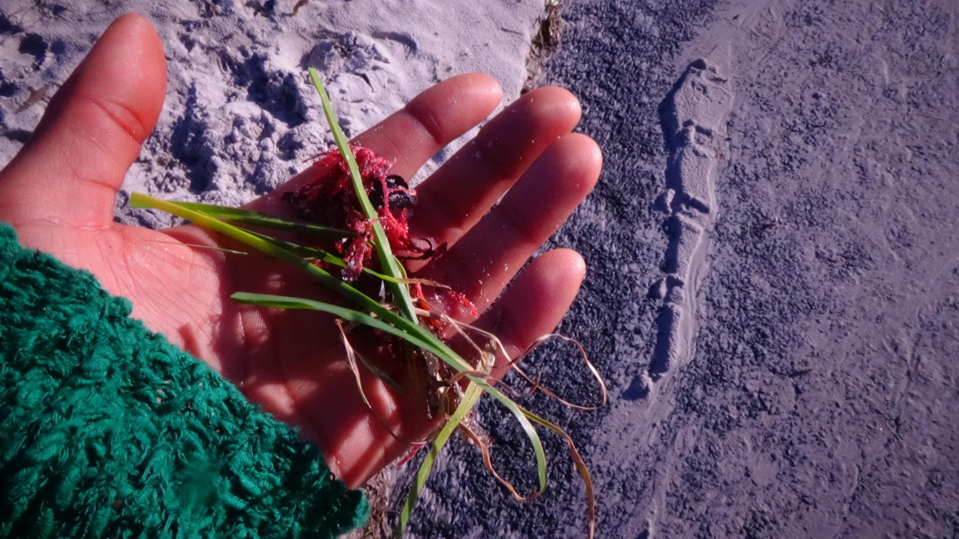 Land Artist in Heart 